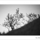 송학동-05 이미지