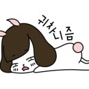 닥터호오 동물병원 네이버블로그