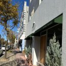 올리비아 | 광주 수완지구 젤라또 맛집 '올리비아떼' 후기