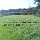 대환축사 이미지