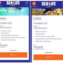 씨유도당싱싱점 | 부산 해운대 대형아쿠아리움, 아이랑 해양생물 구경 및 이색체험 : 씨라이프 부산 아쿠아리움