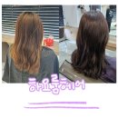 톤 온 톤 | 천안 청당동 미용실 하요룸헤어 청당점에서 톤 다운 염색하고 온 후기