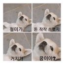 커피쏘울