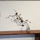 디딤돌결혼정보 이미지