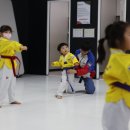 이천 품 성인태권도장 | 우리 아이가 행복하게 성장할 수 있는 완벽한 공간, 태권도장