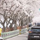 남해가봄 이미지