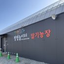 팜팜비 | 경기/용인 아기랑 가볼만한 곳 | 용인 팜팜놀이터 딸기농장