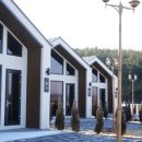 스텔라 달 마레 이미지