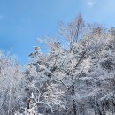 그 밤 함박눈 - 남진원 시 전집 9 . 이미지