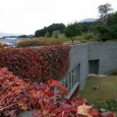 약수골캠프촌 오토캠핑장 이미지