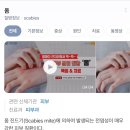 주)대원메디칼 | 2025년 8월: 평화롭게 굴러가는 일상