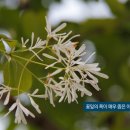 이팝인테리어 이미지