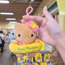 ㈜우리항공여행사 | 여행사 추천 여행산책 하와이 신혼여행 허니문 다녀온 솔직후기