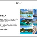 플랜엑스피(주) 네이버블로그