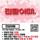 전담어때 이미지