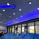 바른i 태권도 이미지