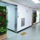 안양시청 앞 이미지