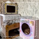 주식회사 아이티비틀 | 다이소 고양이 스크래처 하우스 숨숨집 텔레비전 모양 내돈내산 조립 후기