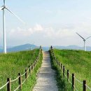 천원목장 이미지