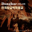 씨유동해천곡가야점 | 강원도 동해시 여름 여행 코스 천곡황금박쥐동굴