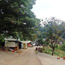 자영농장 이미지