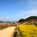 (주)선산섬 Daum카페