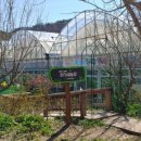 천수만농장 이미지