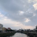 씨유 김포그린코아점 | 제주시 맛집 산지해장국, 동문시장 올레찐빵, 빙떡/ 휘슬락호텔 후기/ 이스타항공 1열
