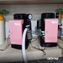 연나무치과의원 이미지