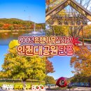 장수중학교 | 인천 피크닉 인천대공원 단풍 시기 주차 장수동 은행나무 실시간
