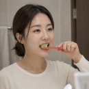 센시 | 시린이치약 고불소치약 1426ppm 추천, 약사 배합 유어그린 센시가드 대용량 사용후기