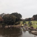 77수족관 이미지