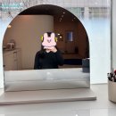 분당/판교 퍼스널컬러 모모(momo) &#39;내돈내산&#39; 퍼스널컬러 진단 후기!