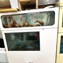 싱싱한산오징어 | 대구 동구 횟집 ‘산오징어회센터, 참가자미’ | 싱싱한 오징어회에 기본찬까지 푸짐한 횟집