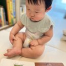 베이비올명화음악 &lt;씨씨씨&gt; 후기