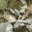 영덕하나약국 | 핫 썸머 아 핫핫 썸머