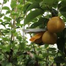 시민문화여성회관성환분관 이미지