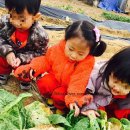 들꽃어린이집 이미지