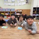 야호이 이미지