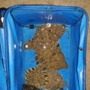 인구항화장실 이미지