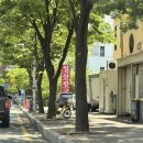 2208 | 경기 고양 맛집 일산칼국수 본점 : 닭칼국수 전문점, 주차장, 웨이팅, 포장