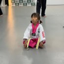 용인대김명훈타이곤태권도 네이버블로그