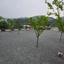 농다리캠핑장 | 충북 청주 근교 진천 신상 캠핑장 추천 농다리캠핑장