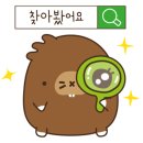 까끼토끼놀이터