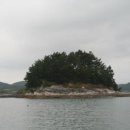 질매섬 Daum백과