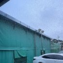 용인 실내 코트 ‘보평테니스장’ 가격 A코트 사용 후기