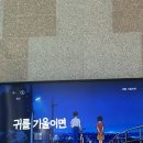 빨간사과작은도서관 이미지