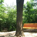 소사청소년수련관6 이미지