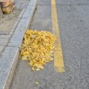 서면행정복지센터 이미지