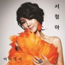 비비 이미지